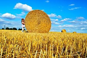 Konkurs fotograficzny "Żniwa w obiektywie" nagroda publiczności