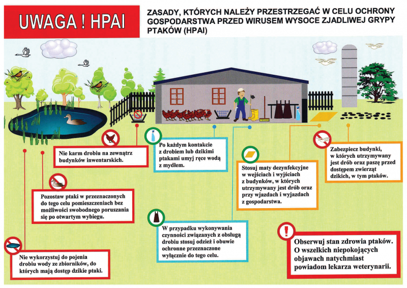 Zasady, których należy przestrzegać w celu ochrony gospodarstwa przed wirusem wysoce zjadliwej grypy (HPAI)