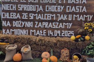 Witacze 2025