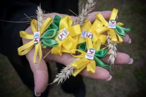Dożynki Gminne 2025