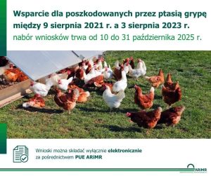 Do 31 października 2025 r. można ubiegać się o rekompensaty z tytułu ptasiej grypy