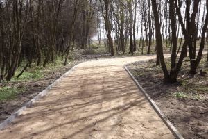 Edukacja ekologiczna poprzez budowę ścieżki dydaktycznej w miejscowości Turzno