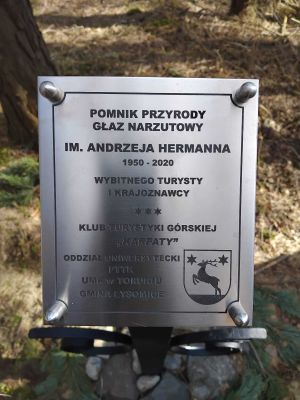 Pomnik  Przyrody Pamięci Andrzeja Hermanna w Olku (1)