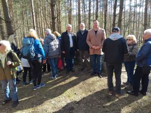 Pomnik  Przyrody Pamięci Andrzeja Hermanna w Olku (2)