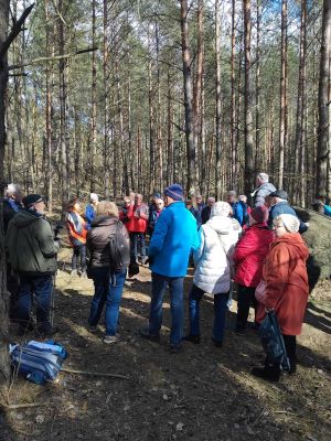 Pomnik  Przyrody Pamięci Andrzeja Hermanna w Olku (3)