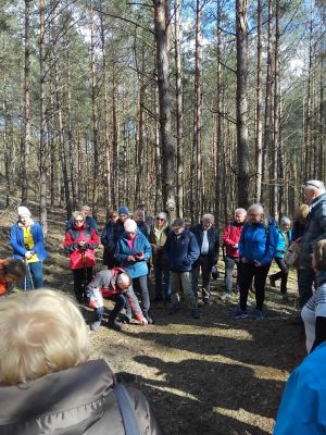 Pomnik  Przyrody Pamięci Andrzeja Hermanna w Olku (4)