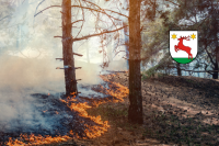 Kampania Stop Pożarom Traw 2025