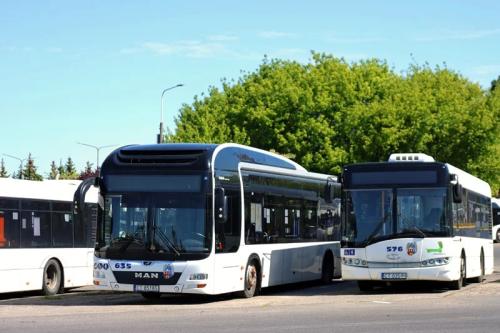 Autobusy MZK z Torunia do Kamionek nad Jezioro ruszają od 31 maja 2025 r.