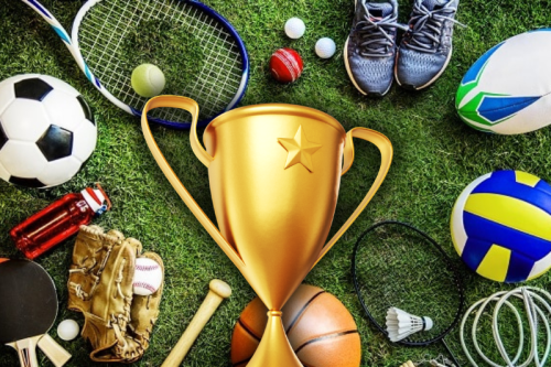 Wyróżnienia i nagrody za wysokie wyniki i osiągnięcia w działalności sportowej  