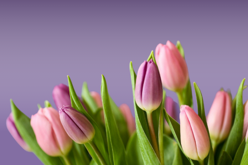 Życzenia z okazji Dnia Sołtysa