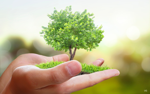 Konsultacje społeczne w sprawie nowej wersji Programu 