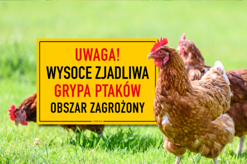 Informacja dla mieszkańców - wysoce zjadliwa grypa ptaków (HPAI)