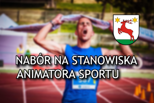 Gmina Łysomice ogłasza nabór na stanowiska - Animatora Sportu